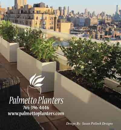Susan Pollock Palmetto Planters